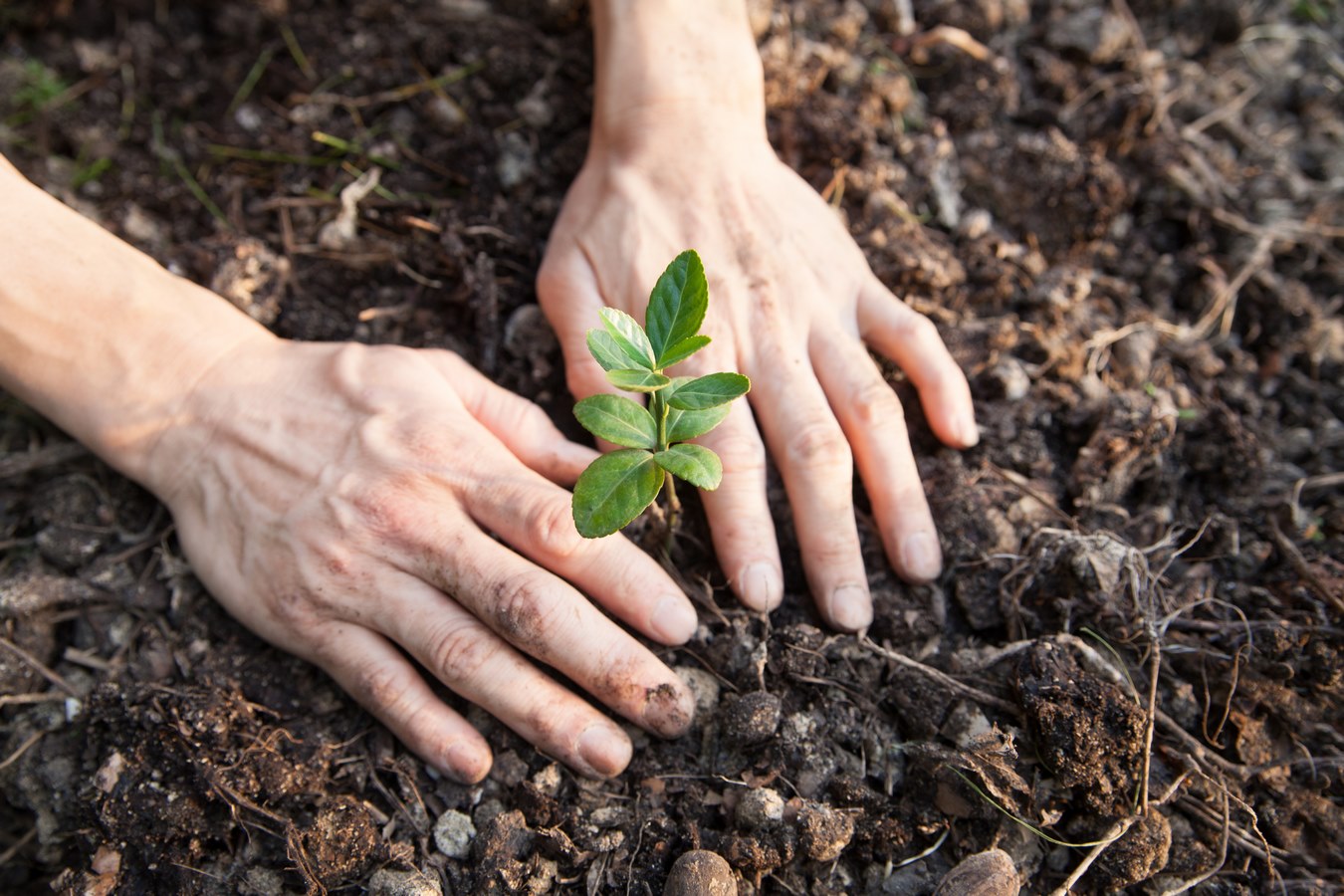 Entreprise de conservation des sols en Occitanie - legarrit